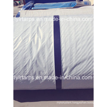 Good Quality&Lowest Price PE Tarpaulin Roll, Waterproof PE Tarp Sheet, Finished Poly Tarp Cover